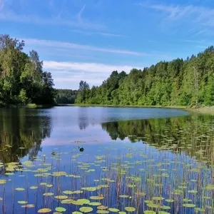 два уникальных участка на браславских озерах Струсто и Укля