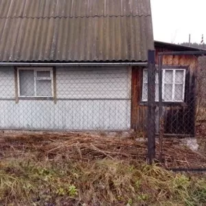 Продам дом (дачу) в д.Придвинье, 15 км от Витебска, в 100 м.река Двина