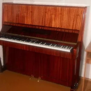 Продаю пианино Беларусь,  полированное