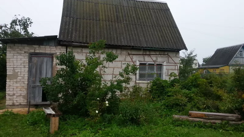 Дом дача (28 кв.м),  участок (5 соток) на брегу р. Западная Двина ( 50м 2