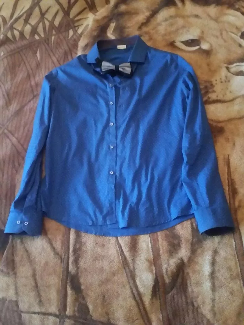 Мужской пиджак + рубашка + бабочка 2
